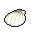 Tropical Shell
