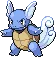 Wartortle