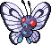 Butterfree