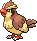 Pidgey