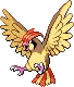 Pidgeotto