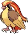 Pidgeot