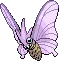 Venomoth
