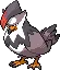 Staraptor